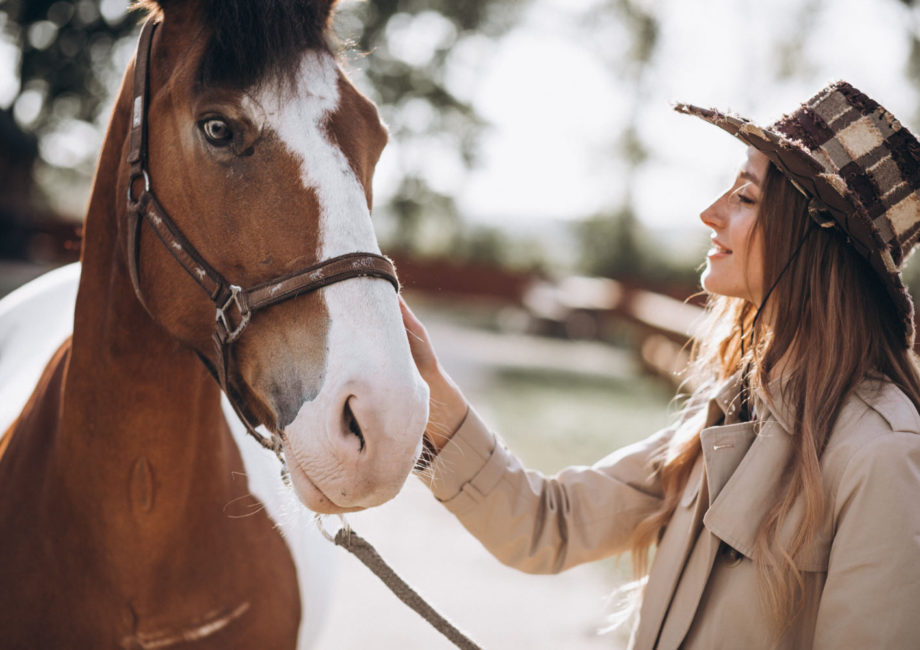 Jak wybrać ubezpieczenie dla swojego konia?
