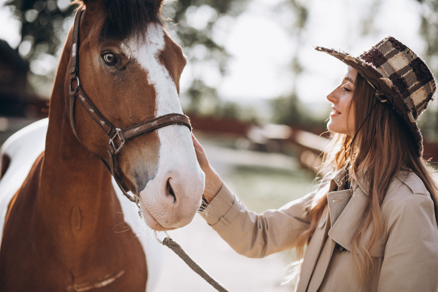 Jak wybrać ubezpieczenie dla swojego konia?