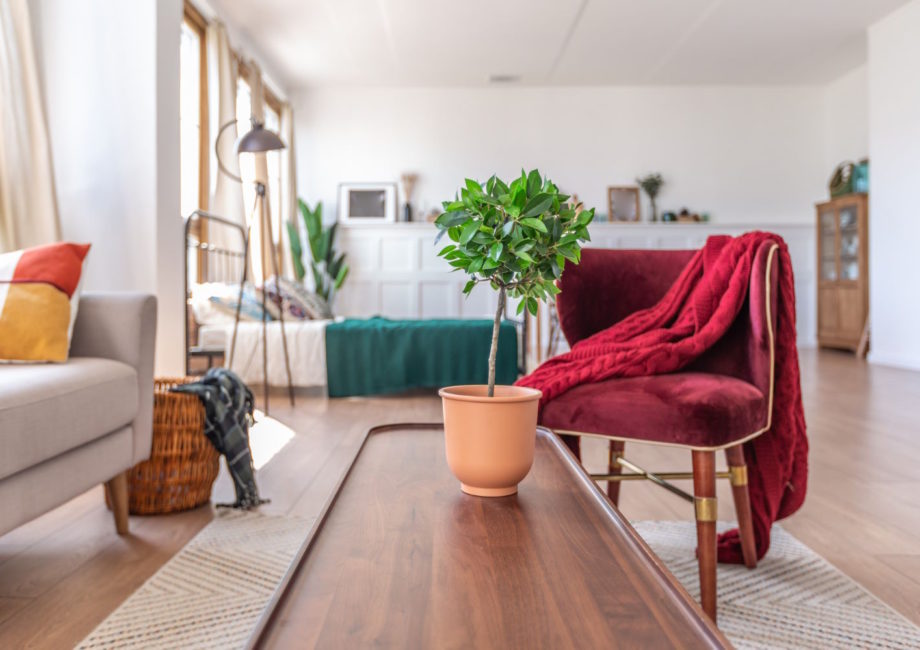 Najlepsze nieruchomości na sprzedaż w Hiszpanii